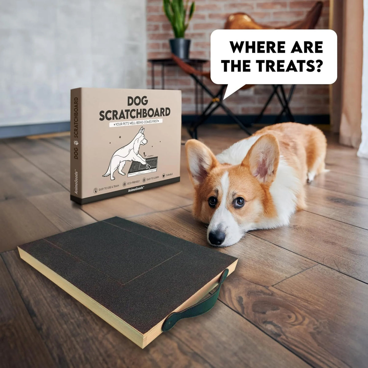 Dog nail scratch board