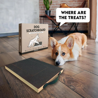 Dog nail scratch board