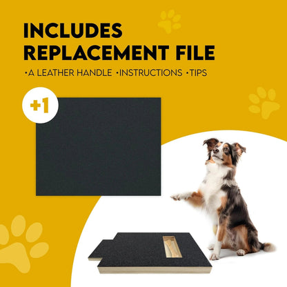 Dog nail scratch board