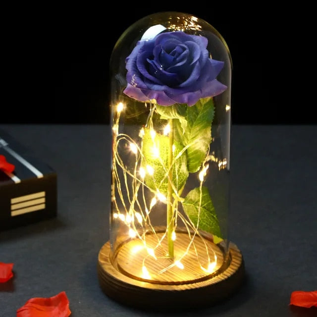 Enchanted Rose