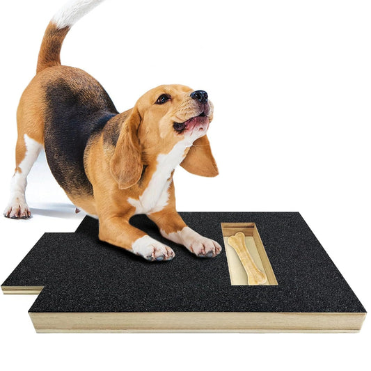 Dog nail scratch board