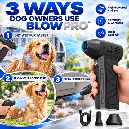 BlowPro